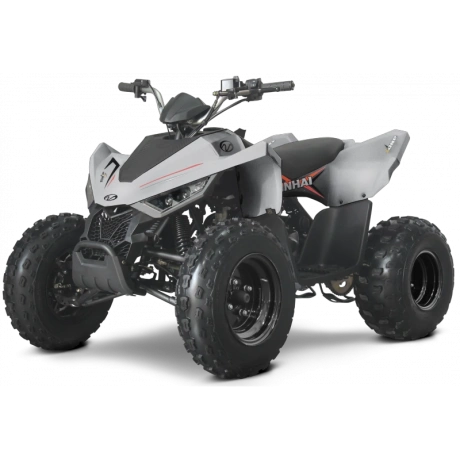 94099-laste-atv-linhai-m110-junior.png.webp