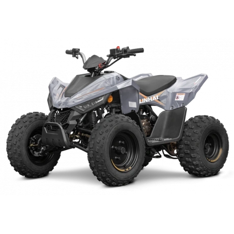 94170-laste-atv-linhai-m110-junior-2x4.png.webp