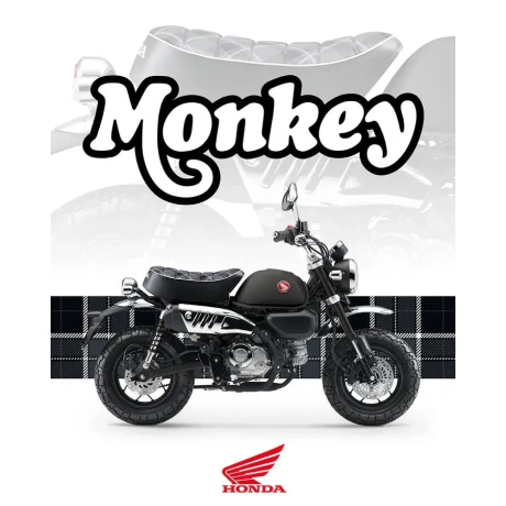 97742-570454-26ym-honda-monkey-125-2.jpg.webp