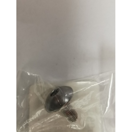 POLT YAMAHA OEM GONDLI KINNITUS