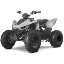 LASTE ATV LINHAI M110 JUNIOR HALL