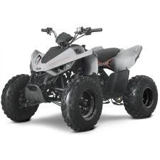 LASTE ATV LINHAI M110 JUNIOR HALL