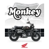96857-570454-26ym-honda-monkey-125.jpg.webp