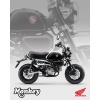 MOOTORRATAS HONDA MONKEY 125 SHEEN SILVER METALLIC 2025